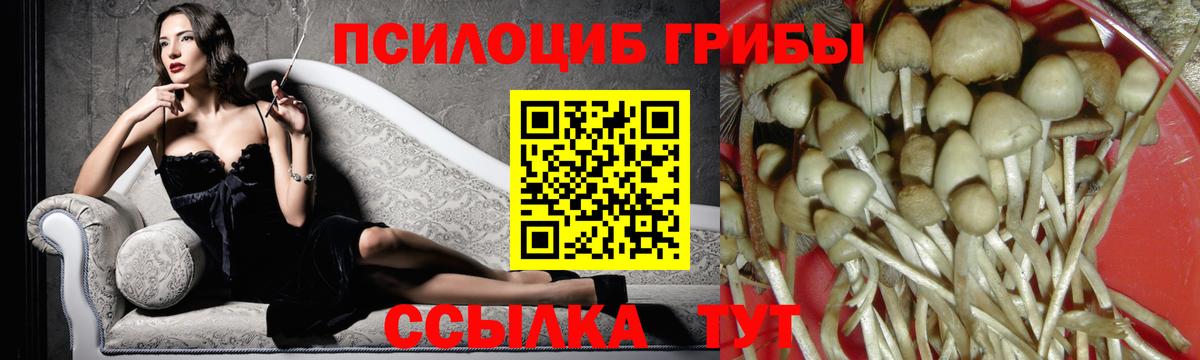 Псилоцибиновые грибы мухоморы Апатиты
